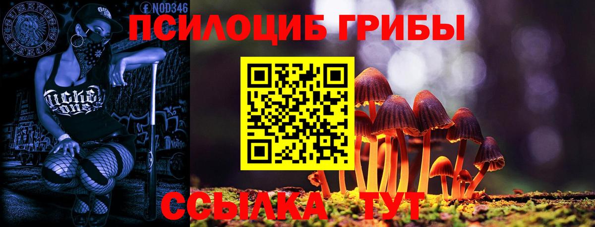 Псилоцибиновые грибы мухоморы Дзержинский